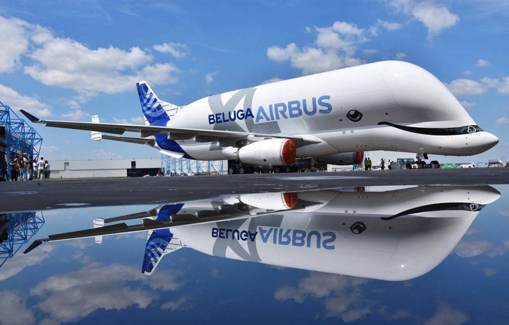 Le 1er Airbus Beluga XL avec sa livrée et son sourire de béluga.