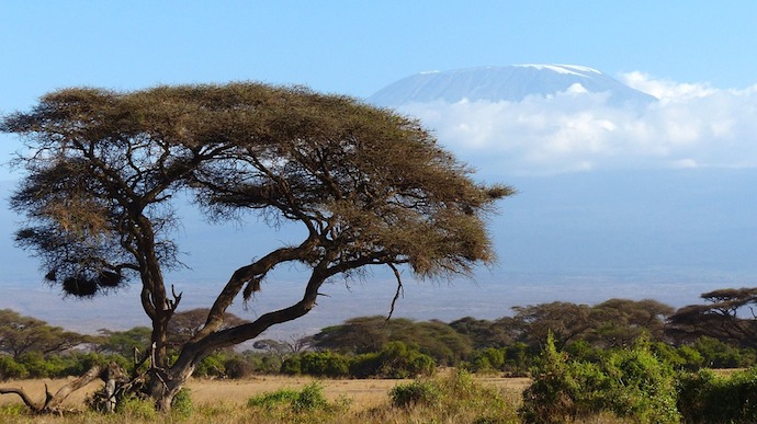 kilimanjaro, Kenya