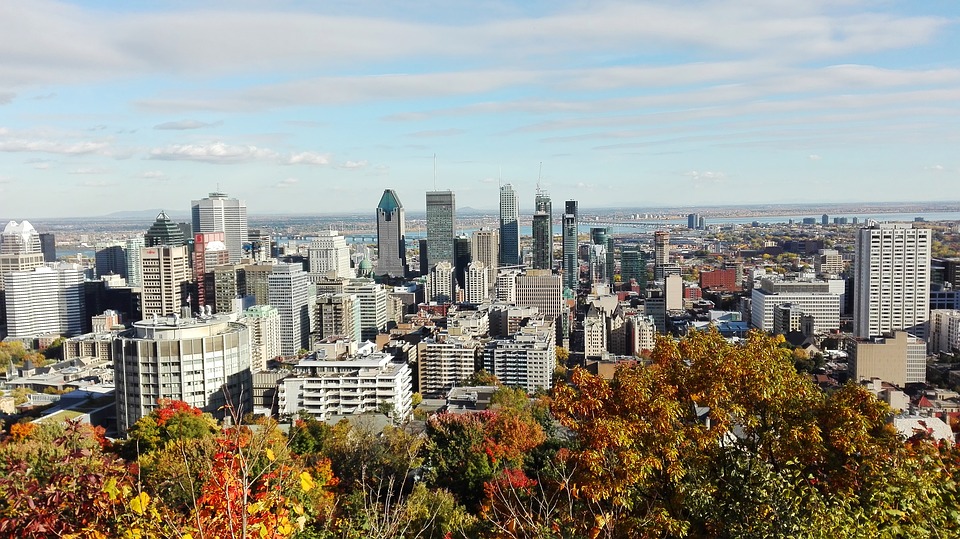 Vue de Montréal depuis le mont Royal 